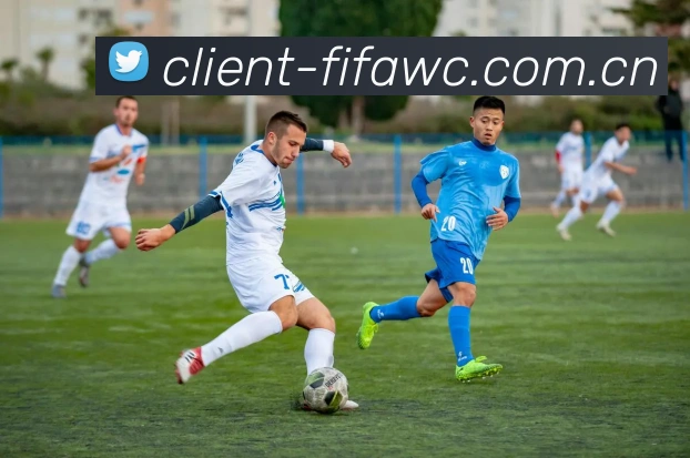 FIFA官方数据授权认证